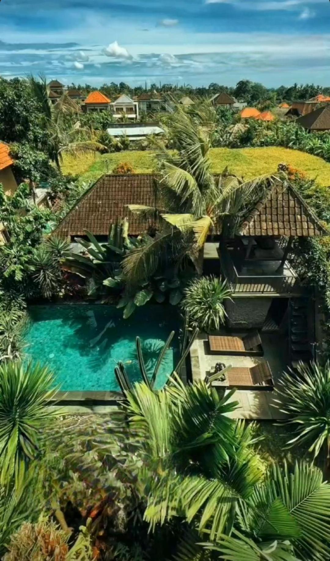 Buda Amitaba Ubud Exteriör bild